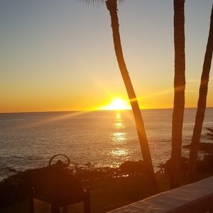 Meet your Posher, Audrey